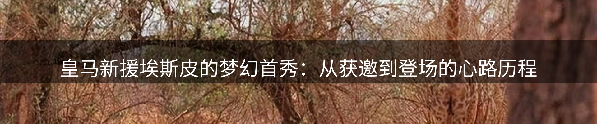 内页banner