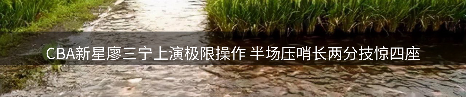 内页banner